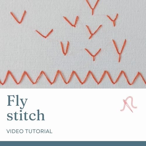 Video tutorial sul punto mosca