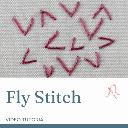 Scheda video Fly Stitch