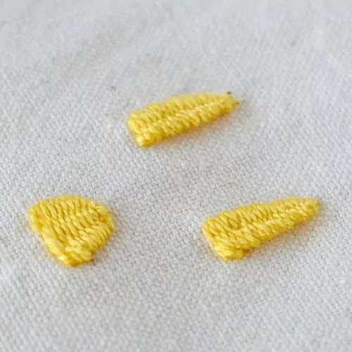 Punto a traliccio intrecciato